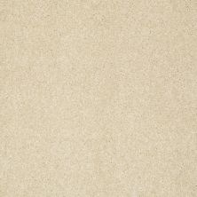 Shaw Floors Value Collections Gold Texture Net Chenille Soft 00110_E9325