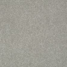 Shaw Floors Value Collections Gold Texture Net Elephant Gray 00534_E9325
