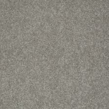 Shaw Floors Value Collections Gold Texture Net London 00535_E9325