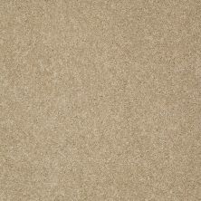 Shaw Floors Value Collections Gold Texture Net Beach House 00771_E9325