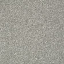 Shaw Floors Value Collections Platinum Texture 12′ Net Elephant Gray 00534_E9326