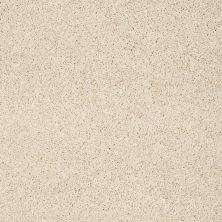 Shaw Floors Value Collections Gold Twist Net Parchment 00111_E9329