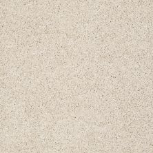 Shaw Floors Value Collections Gold Twist Net Dunes 00123_E9329