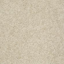 Shaw Floors Value Collections Gold Twist Net Travertine 00702_E9329