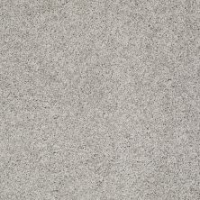 Shaw Floors Value Collections Platinum Twist Net When In Rome 00536_E9330