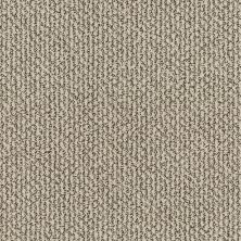Shaw Floors Simply The Best Vibrant Sand 00106_E9345