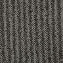 Shaw Floors Simply The Best Vibrant Iron 00502_E9345