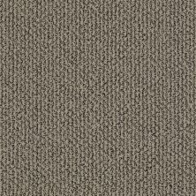Shaw Floors Simply The Best Vibrant Mocha 00700_E9345