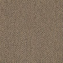 Shaw Floors Simply The Best Vibrant Prairie 00701_E9345