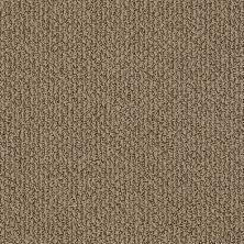 Shaw Floors Simply The Best Vibrant Natural Wood 00702_E9345