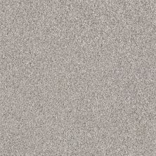 Shaw Floors Foundations Palette Opal Gray 00500_E9359