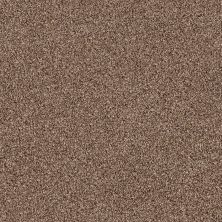Shaw Floors Foundations Palette Pine Cone 00702_E9359