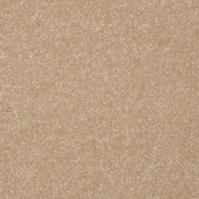 Shaw Floors Value Collections Passageway 3 Net Sugar Cookie 00105_E9377