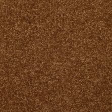Shaw Floors Value Collections Passageway 3 Net Camel 00204_E9377