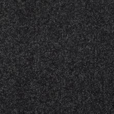 Shaw Floors Value Collections Passageway 3 Net Blue Spruce 00307_E9377