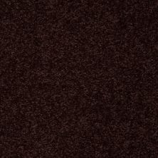 Shaw Floors Value Collections Passageway 3 Net Dark Roast 00709_E9377