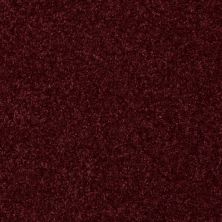Shaw Floors Value Collections Passageway 3 Net Raspberry 00804_E9377