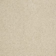 Shaw Floors Value Collections Origins II Net Linen