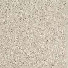 Shaw Floors Value Collections Origins II Net Canvas