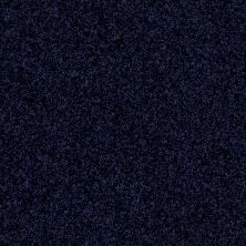 Shaw Floors Value Collections Origins II Net Nautica