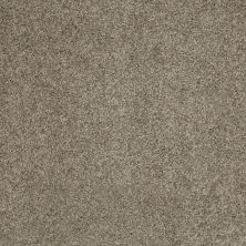 Shaw Floors Value Collections Origins II Net Elephant