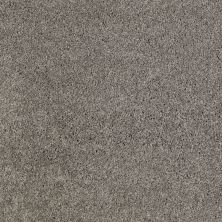 Shaw Floors Value Collections Origins II Net Battleship