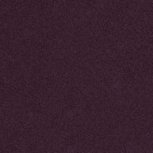 Shaw Floors Value Collections Origins II Net Grape Fizz