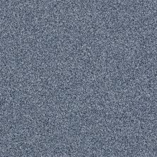 Shaw Floors Value Collections Anso It Goes Net Ocean Blue 00400_E9418