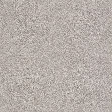 Shaw Floors Value Collections Anso It Goes Net Silver Charm 00501_E9418