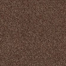 Shaw Floors Simply The Best Of Course We Can II 12′ Ocher 00600_E9423
