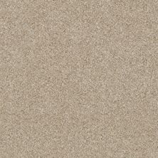 Shaw Floors Simply The Best Of Course We Can III 15′ Linen 00100_E9426