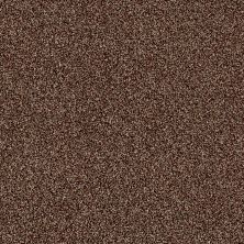 Shaw Floors Value Collections Of Course We Can I 12 Net Ocher 00600_E9429