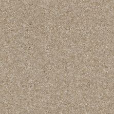 Shaw Floors Value Collections Of Course We Can II 12′ Net Sand Castle 00101_E9435