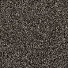 Shaw Floors Value Collections Of Course We Can II 12′ Net Boulder 00504_E9435