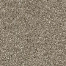 Shaw Floors Value Collections Of Course We Can II 15′ Net Cameo 00103_E9438
