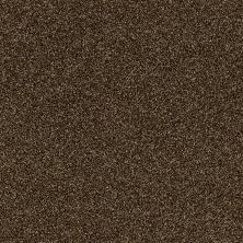 Shaw Floors Value Collections Of Course We Can II 15′ Net Sedona 00702_E9438