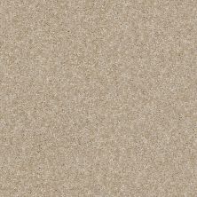 Shaw Floors Value Collections Of Course We Can III 12′ Net Sepia 00105_E9441
