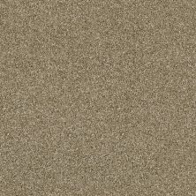 Shaw Floors Value Collections Of Course We Can III 15′ Net Biscotti 00102_E9444