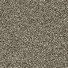 Shaw Floors Value Collections Of Course We Can III 15′ Net Arbor 00104_E9444