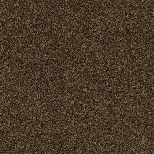 Shaw Floors Value Collections Of Course We Can III 15′ Net Sedona 00702_E9444