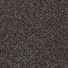 Shaw Floors Value Collections Work The Color Net Black Granite 00503_E9458