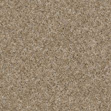 Shaw Floors Value Collections Frosting Net Cork