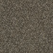 Shaw Floors Value Collections Frosting Net Fossil