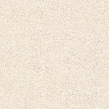 Shaw Floors Value Collections Palette Net Pebble 00102_E9466