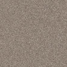 Shaw Floors Value Collections Palette Net Barn Wood 00104_E9466