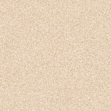 Shaw Floors Value Collections Palette Net Frosted Honey 00200_E9466