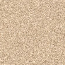 Shaw Floors Value Collections Palette Net Summer Straw 00201_E9466