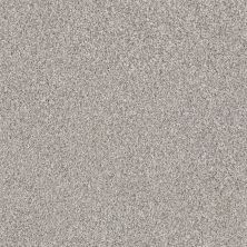 Shaw Floors Value Collections Palette Net Opal Gray 00500_E9466