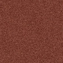 Shaw Floors Value Collections Palette Net Copper 00600_E9466