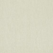 Shaw Floors Value Collections Parallel Net Ub Cream 00101_E9467